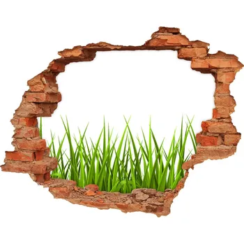 Fototapeta Samolepící díra nálepka beton Tráva