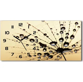 Hodiny Skleněné hodiny na stěnu Semena pampelišky