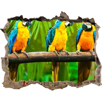 Fototapeta Díra 3D fototapeta na stěnu Papošci na větvi