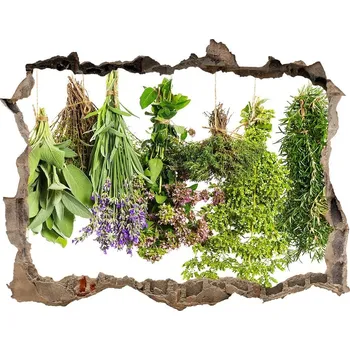 Fototapeta Nálepka 3D díra na zeď Bylinky na provázku