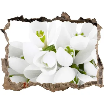 Fototapeta Samolepící díra na stěnu Prvosenky