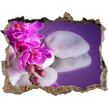 Fototapeta Fotoobraz díra na stěnu Orchidej