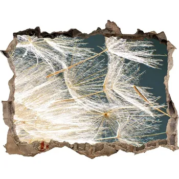 Fototapeta Samolepící nálepka Semena pampelišky