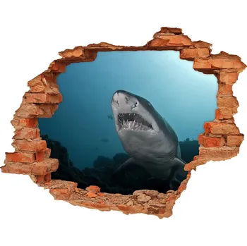 Fototapeta Díra 3D fototapeta nálepka Velký žralok