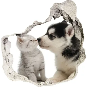 Fototapeta Díra 3D fototapeta nálepka Pes a kočka