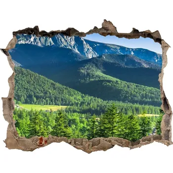 Fototapeta Nálepka fototapeta 3D Skokanský můstek Tatry