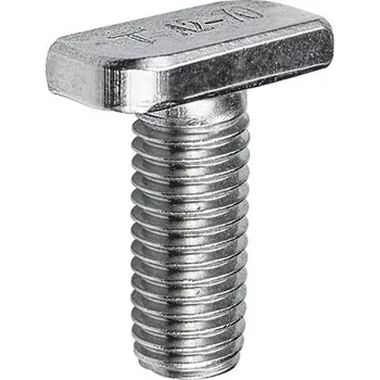 Šroub T šroub M10/25 131009