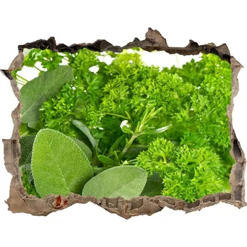 Fototapeta Nálepka 3D díra Bylinky