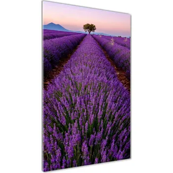 Obraz Vertikální Foto obraz sklo tvrzené Pole levandule