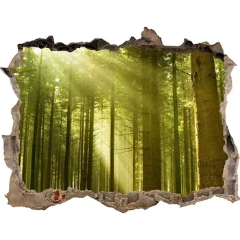 Fototapeta Samolepící nálepka beton Sosnový les