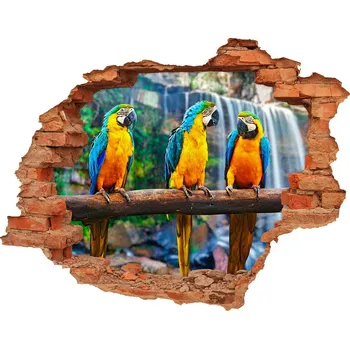 Fototapeta Díra 3D fototapeta nálepka Papošci na větvi