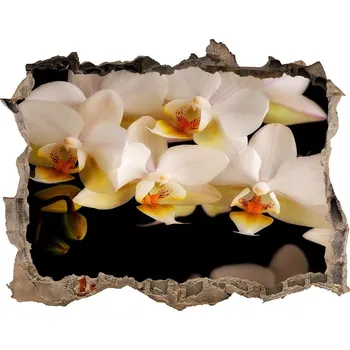 Fototapeta Nálepka fototapeta 3D výhled Orchidej