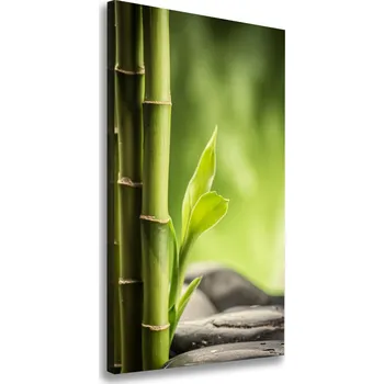 Obraz Vertikální Moderní fotoobraz canvas na rámu Bambus