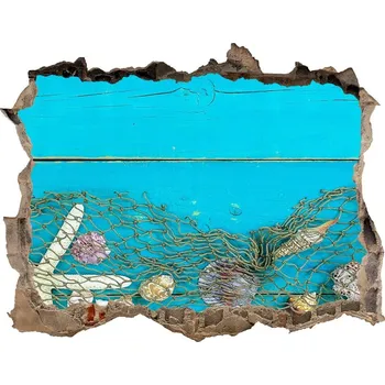 Fototapeta Samolepící díra na stěnu Hvězdice a mušle