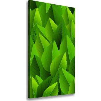 Obraz Vertikální Foto obraz na plátně Zelené listí