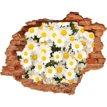 Fototapeta Samolepící díra nálepka Sedmikrásky