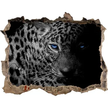 Fototapeta Díra 3D foto tapeta nálepka Levhard