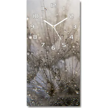 Hodiny Nástěnné hodiny Semena pampelišky