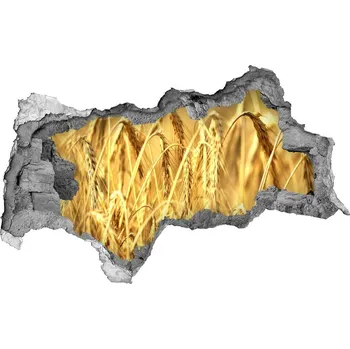 Fototapeta Samolepící díra na stěnu nálepka Zboží