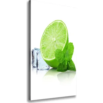 Obraz Vertikální Foto obraz na plátně Limetka a led