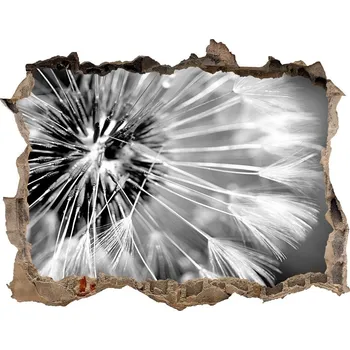 Fototapeta Samolepící nálepka na zeď Pampelišky