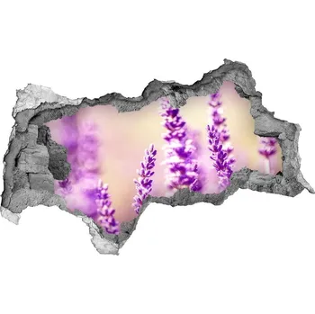 Fototapeta Samolepící díra nálepka beton Levandule