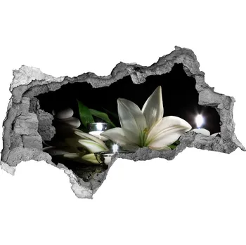 Fototapeta Samolepící díra nálepka Bílá lilie