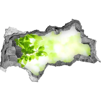 Fototapeta Samolepící díra nálepka beton Listí