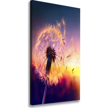 Obraz Vertikální Vertikální Foto obraz na plátně do obýváku Pampeliška