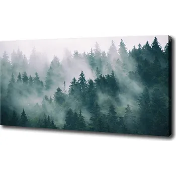 Obraz Foto obraz na plátně Mlha nad lesem