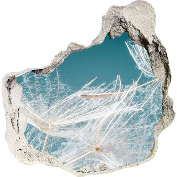 Fototapeta Samolepící díra nálepka Semena pampelišky