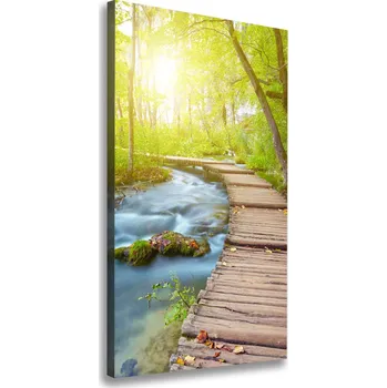 Obraz Vertikální Foto obraz na plátně Stezka v lese