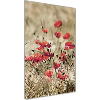 Obraz Moderní akrylový fotoobraz vertikální Polní květiny