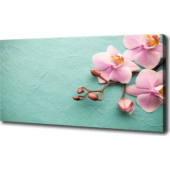 Obraz Foto obraz na plátně do obýváku Orchidej