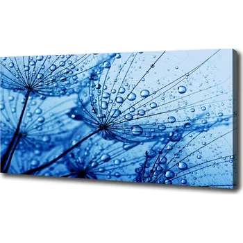 Obraz Foto obraz na plátně Semeno pampelišky