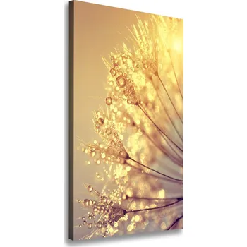 Obraz Vertikální Foto obraz na plátně Semena pampelišky