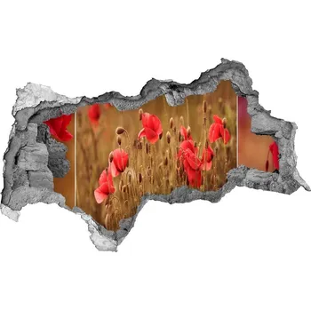 Fototapeta Samolepící díra na stěnu Máky triptych