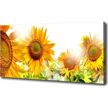 Obraz Foto obraz na plátně Slunečníky