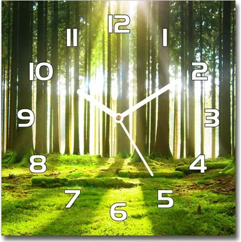 Hodiny Skleněné hodiny čtverec Les ve slunci