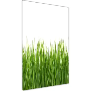 Obraz Vertikální Foto obraz sklo tvrzené Zelená tráva
