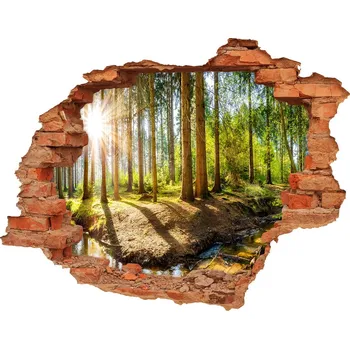 Fototapeta Díra 3D ve zdi na stěnu Panorama les