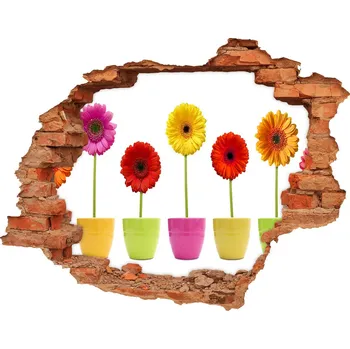 Fototapeta Samolepící díra na stěnu Barevné gerbery