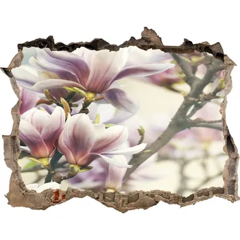 Fototapeta Foto fotografie díra na zeď Magnolie