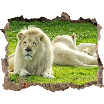 Fototapeta Samolepící díra nálepka Béžoví lvi
