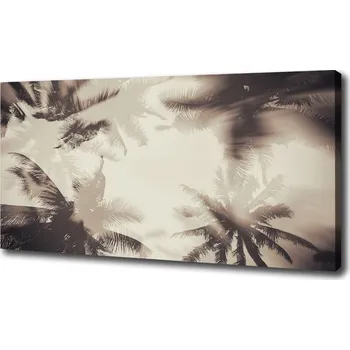 Obraz Foto obraz na plátně Palmy