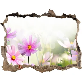 Fototapeta Samolepící díra na stěnu Květiny na louce