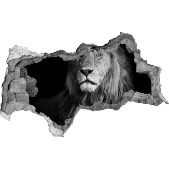 Fototapeta Díra 3D fototapeta nálepka Lev