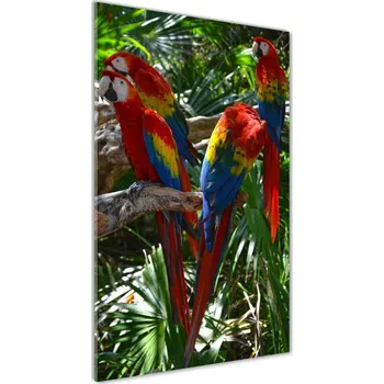 Obraz Vertikální Foto obraz sklo tvrzené Papoušci Ara