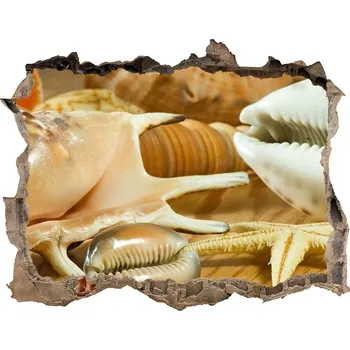 Fototapeta Samolepící díra na stěnu Mušle na dřevě