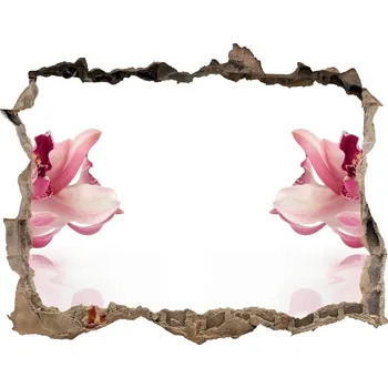 Fototapeta Samolepící nálepka na zeď Orchidej